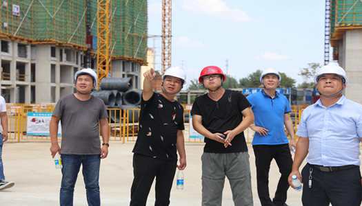 乐动网站董事会巡检圆满完成